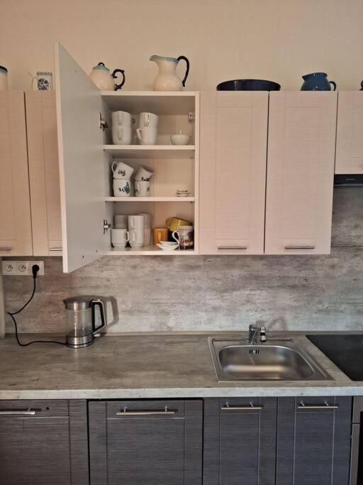 Apartman H&H Na Vysocine Stritez  Экстерьер фото